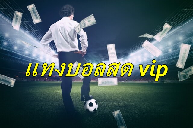 แทงบอลสด vip